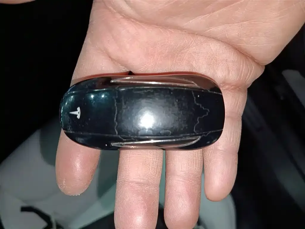 Tesla Model X 2021 из CN, фото 4