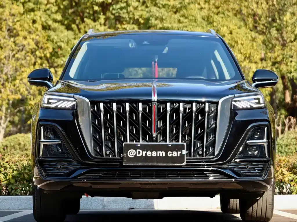 Hongqi HS5 2023 из CN, фото 5