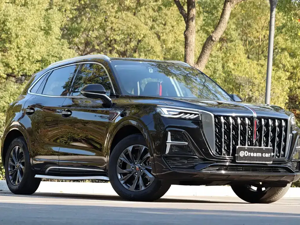 Hongqi HS5 2023 из CN, фото 10