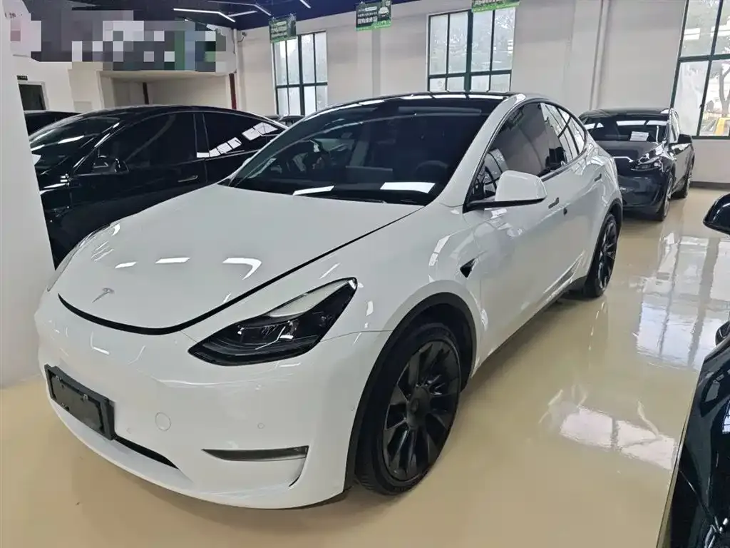 Tesla Model Y 2021 из CN, фото 1