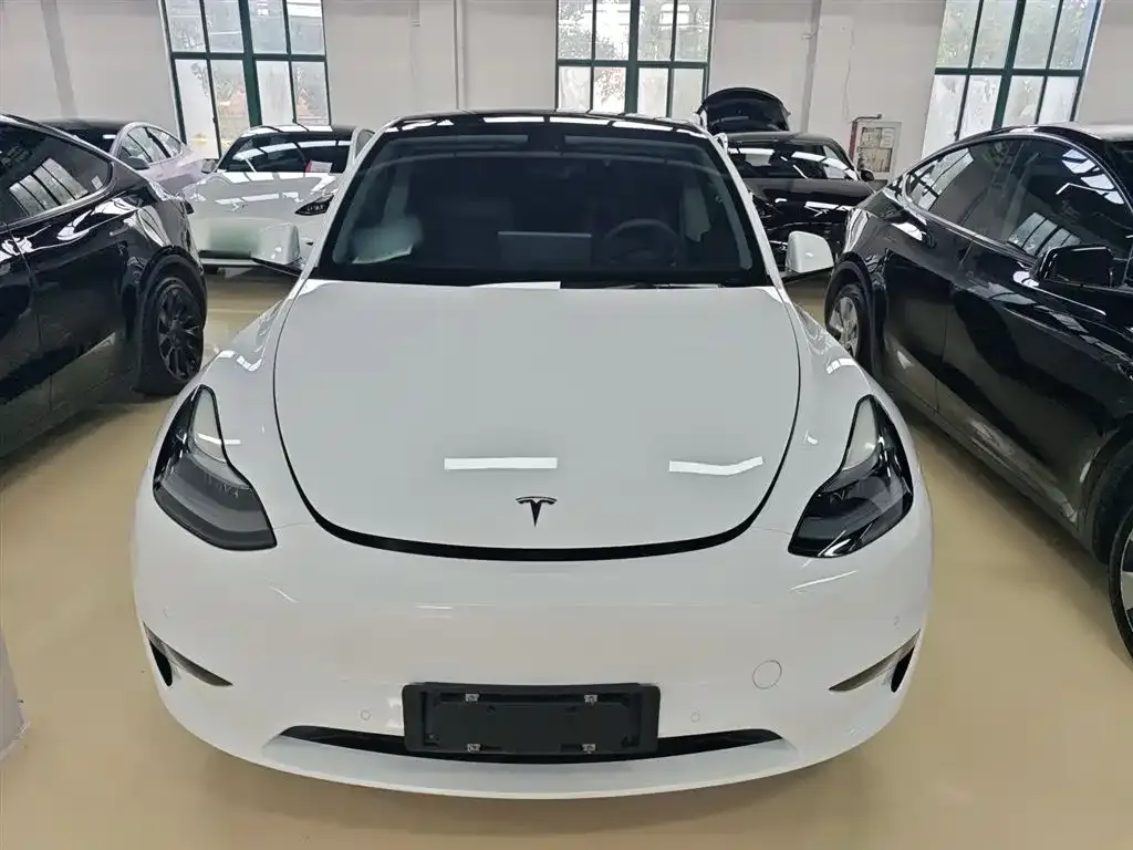 Tesla Model Y 2021 из CN, фото 6