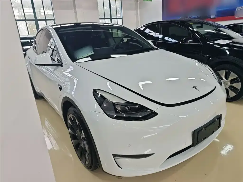 Tesla Model Y 2021 из CN, фото 9
