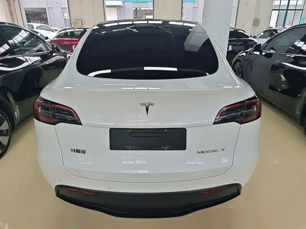 Tesla Model Y 2021 из CN, фото 10