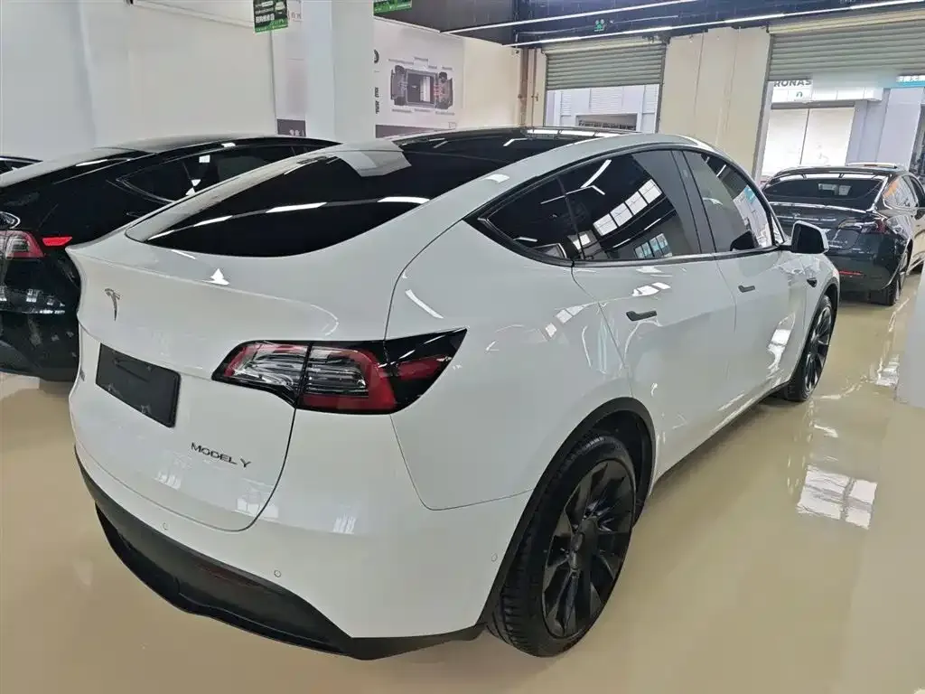 Tesla Model Y 2021 из CN, фото 8