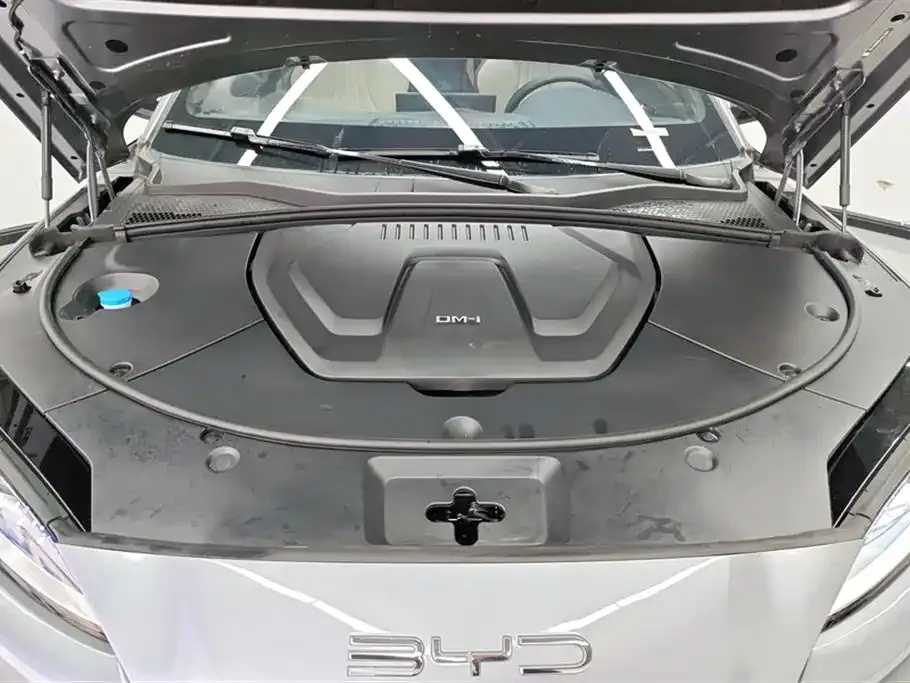 BYD PLUS New Energy — фото 8