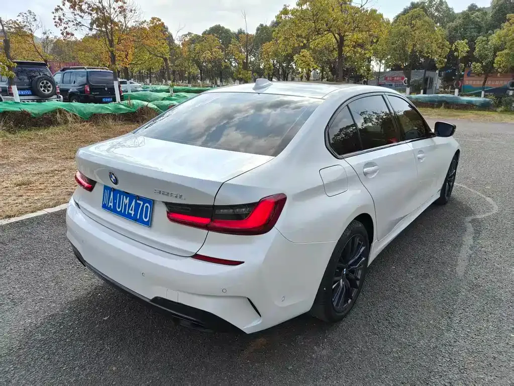 BMW 3 Series 2022 из CN, фото 10