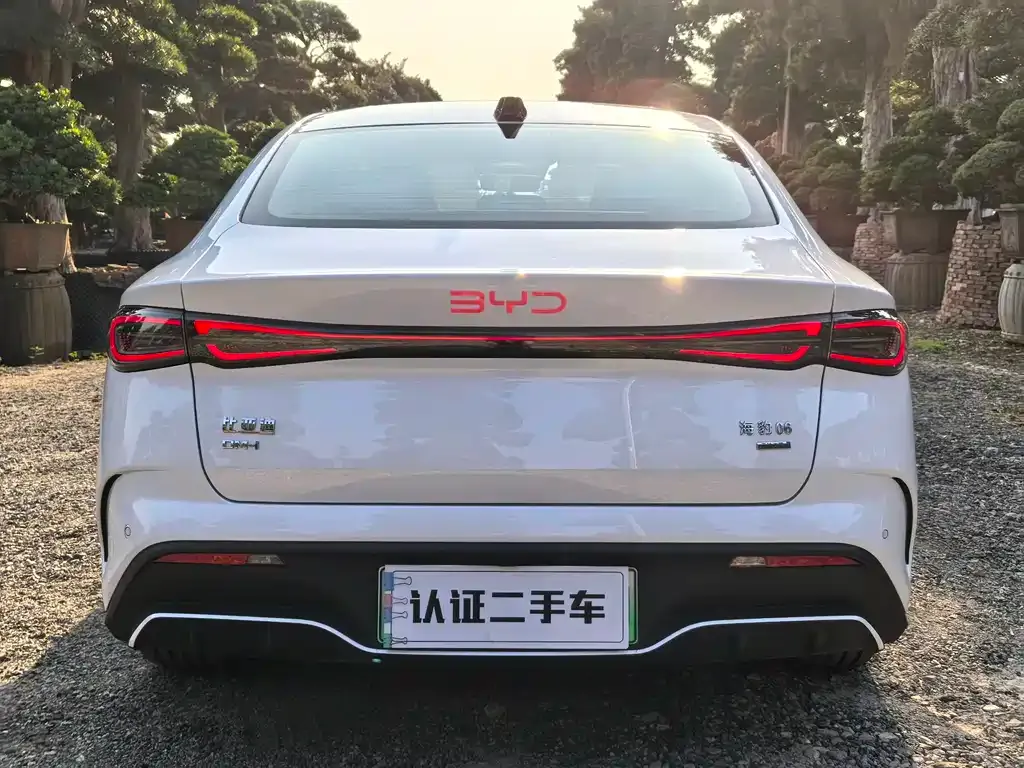 BYD Seal 06 2025 из CN, фото 4