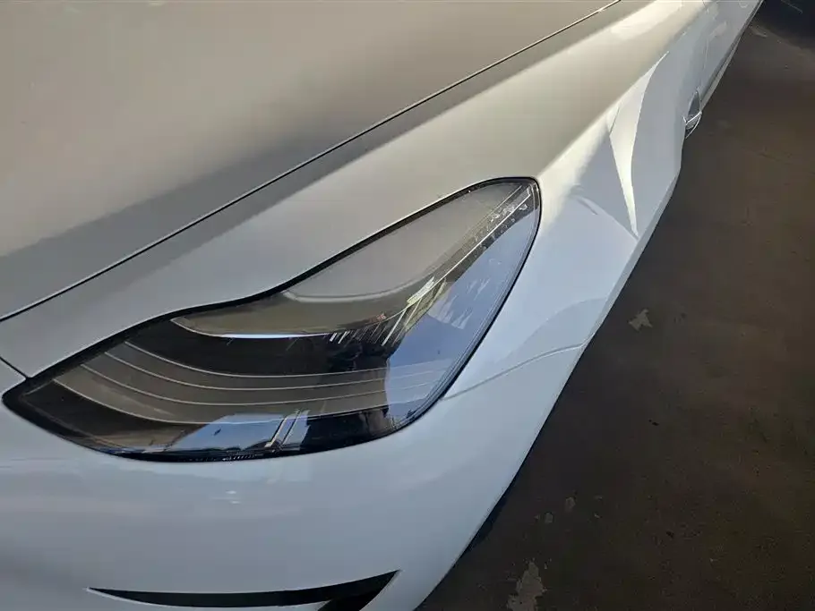 Tesla Model 3 2021 из CN, фото 4