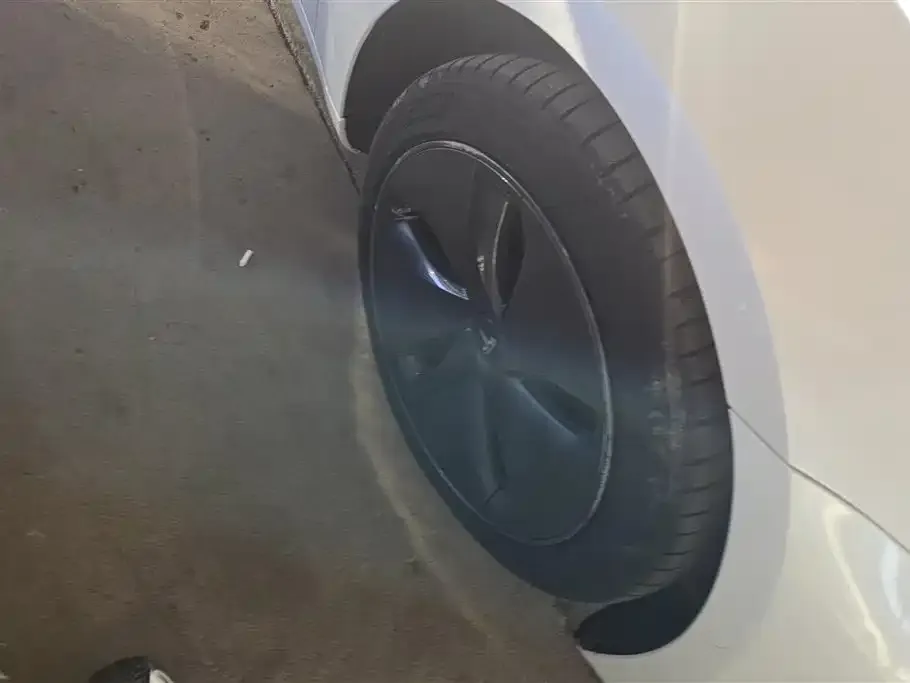 Tesla Model 3 2021 из CN, фото 6
