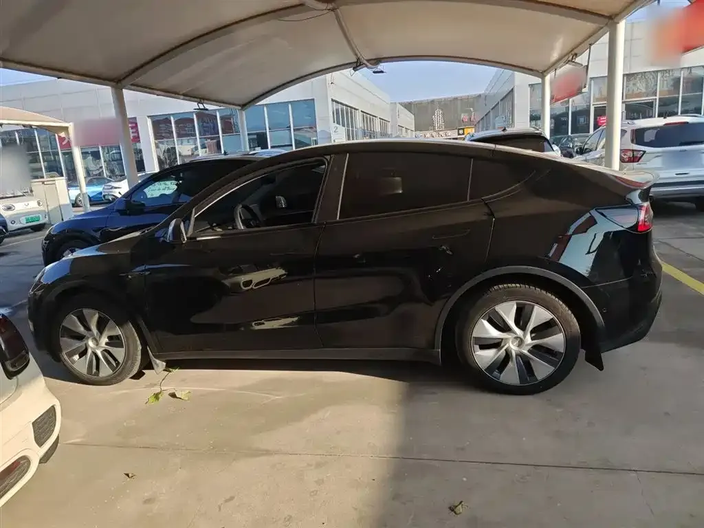 Tesla Model Y 2023 из CN, фото 5