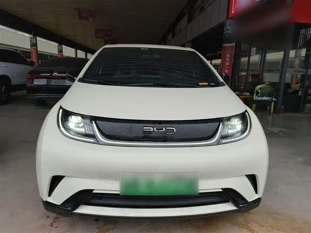 BYD Dolphin 2025 из CN, фото 5