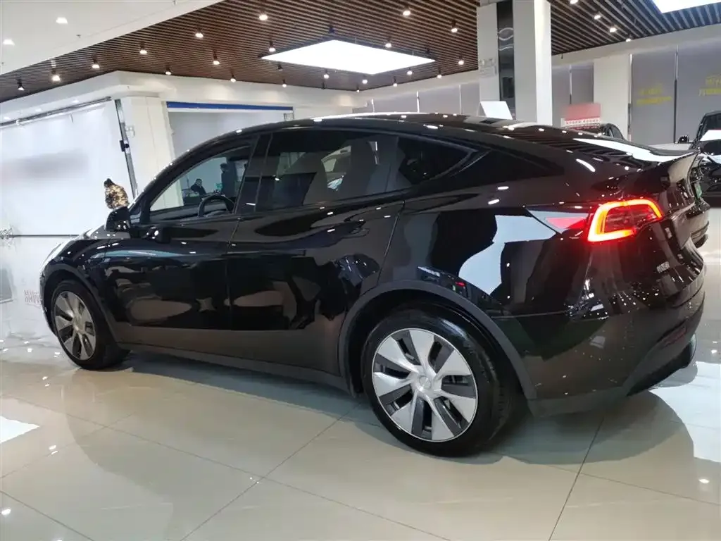 Tesla Model Y 2022 из CN, фото 7
