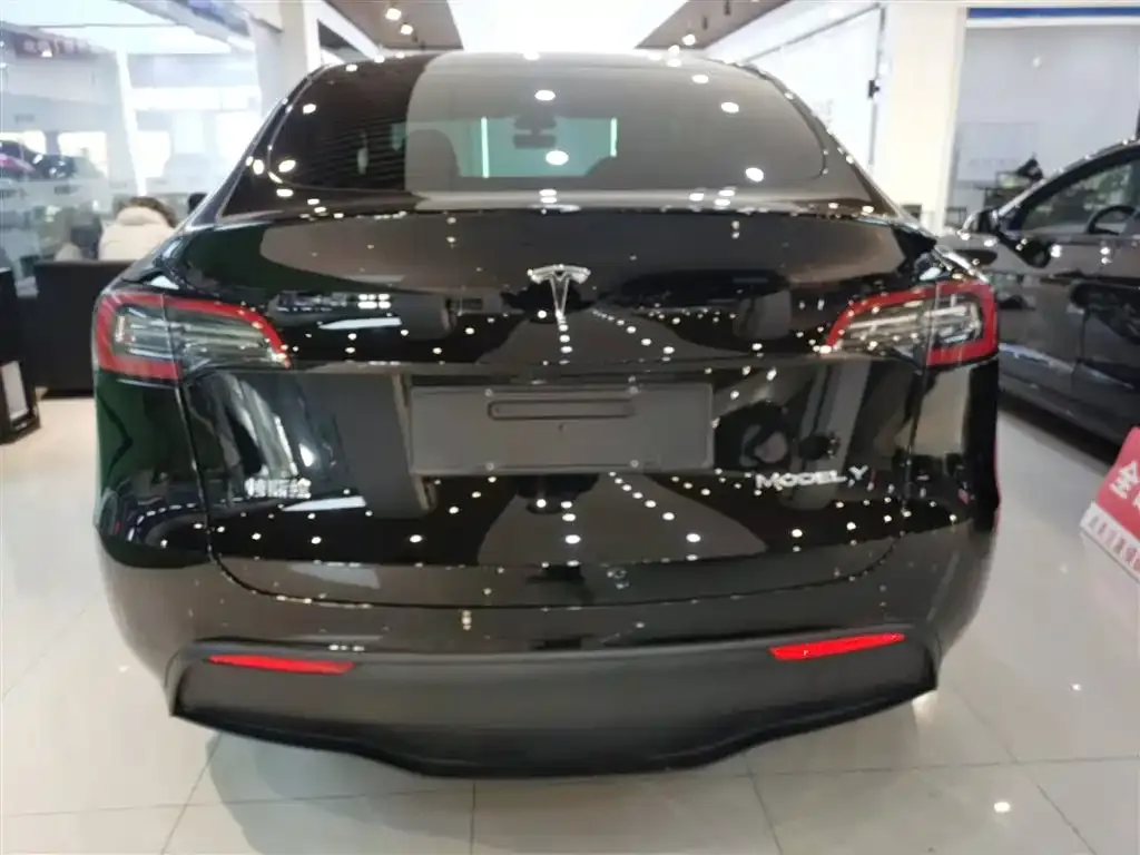Tesla Model Y 2022 из CN, фото 6