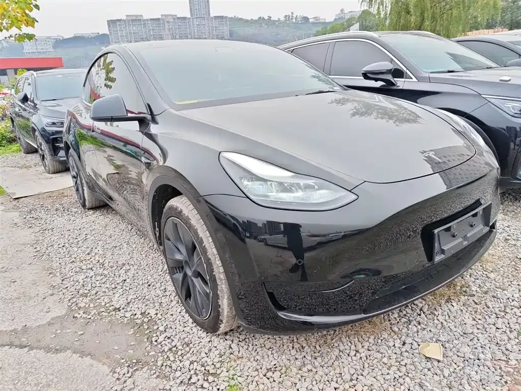 Tesla Model Y 2023 из CN, фото 4