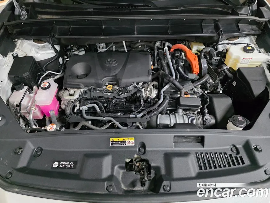 [object Object] Highlander 2023 из KR, фото 6