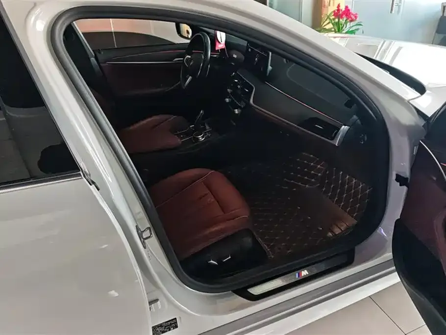 BMW 5 Series 2021 из CN, фото 10