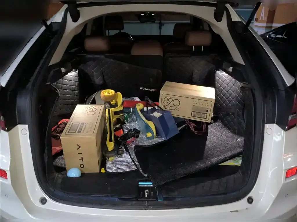 Honda Avancier 2023 из CN, фото 9