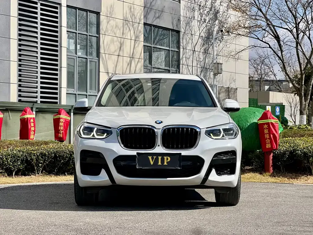 BMW X3 2021 из CN, фото 3