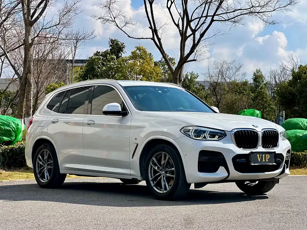 BMW X3 2021 из CN, фото 2