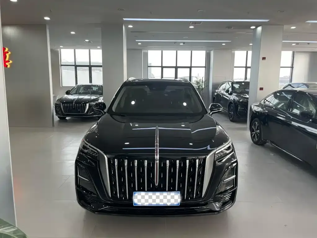 Hongqi HS5 2024 из CN, фото 10