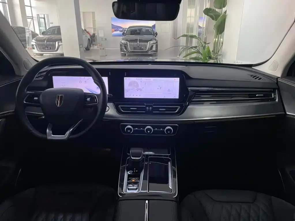 Hongqi HS5 2024 из CN, фото 3