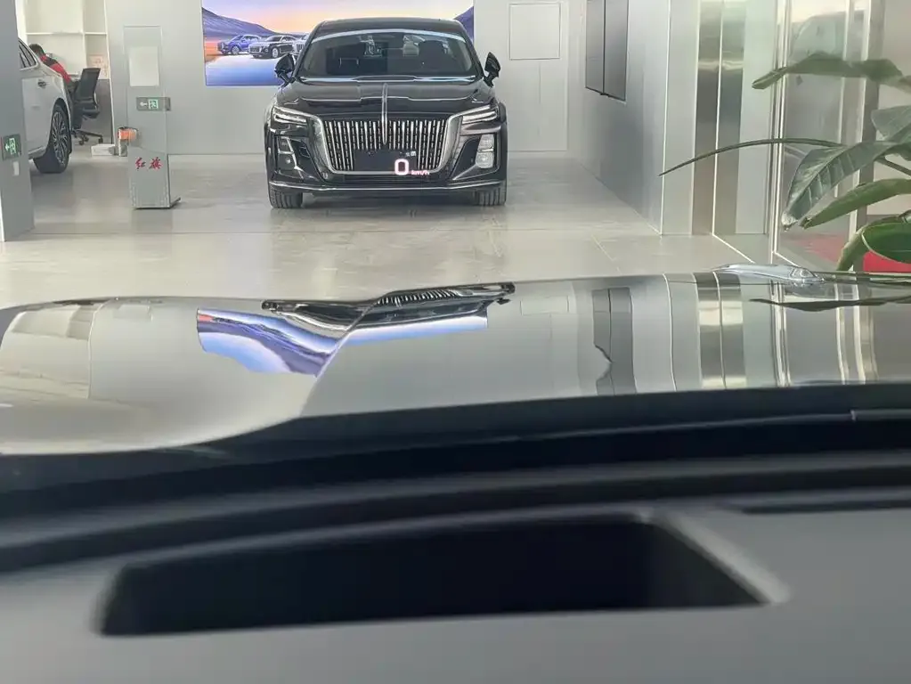 Hongqi HS5 2024 из CN, фото 4
