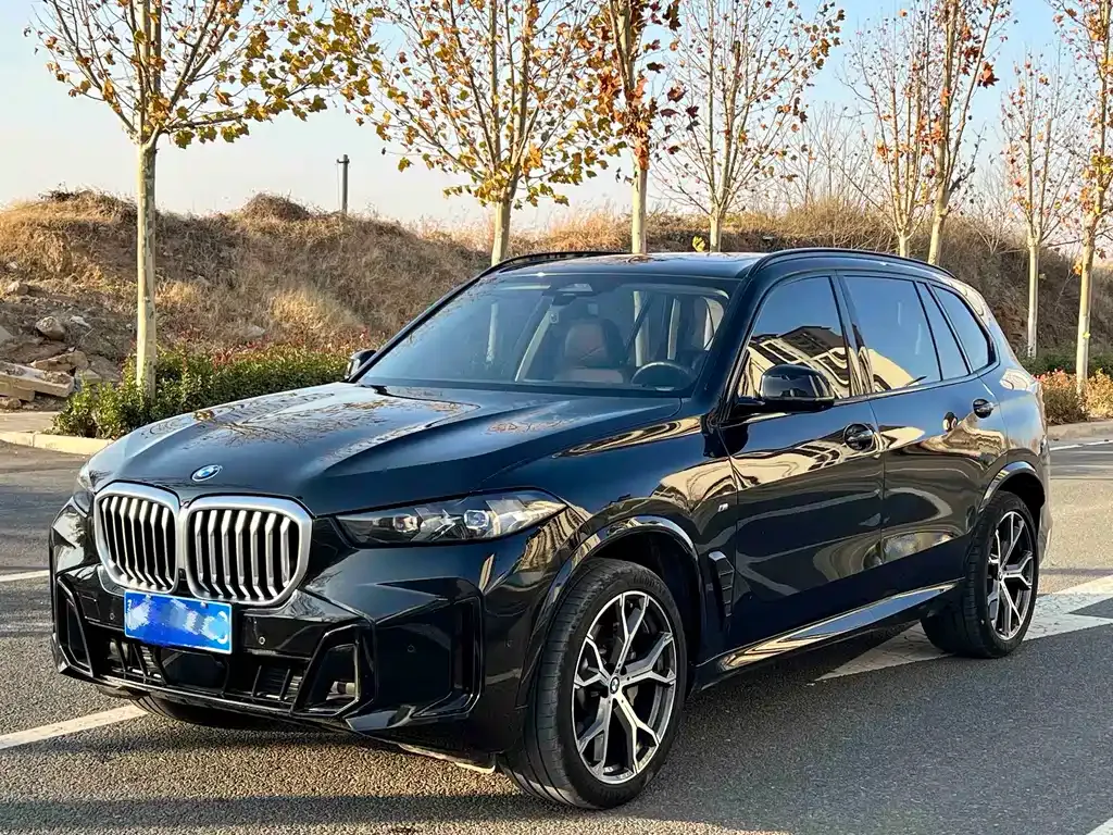 BMW X5 2024 из CN, фото 9