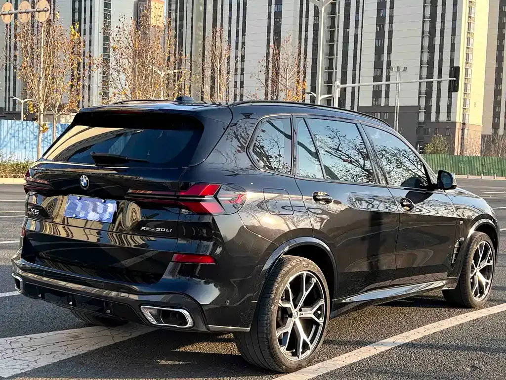 BMW X5 2024 из CN, фото 6