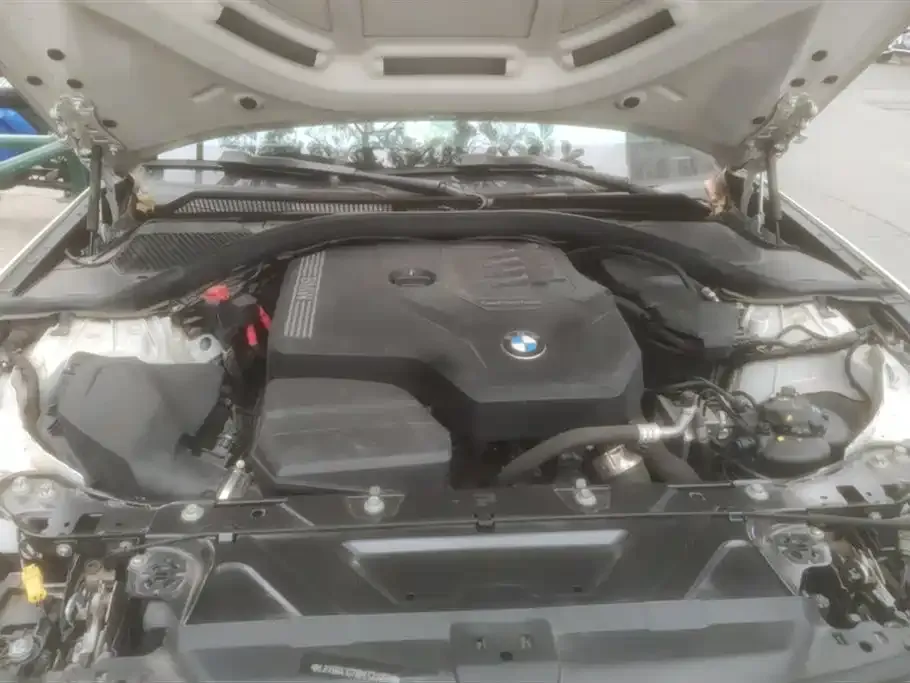 BMW 3 Series 2022 из CN, фото 10
