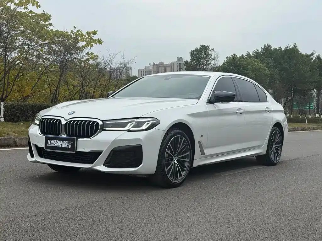 BMW 5 Series 2022 из CN, фото 1