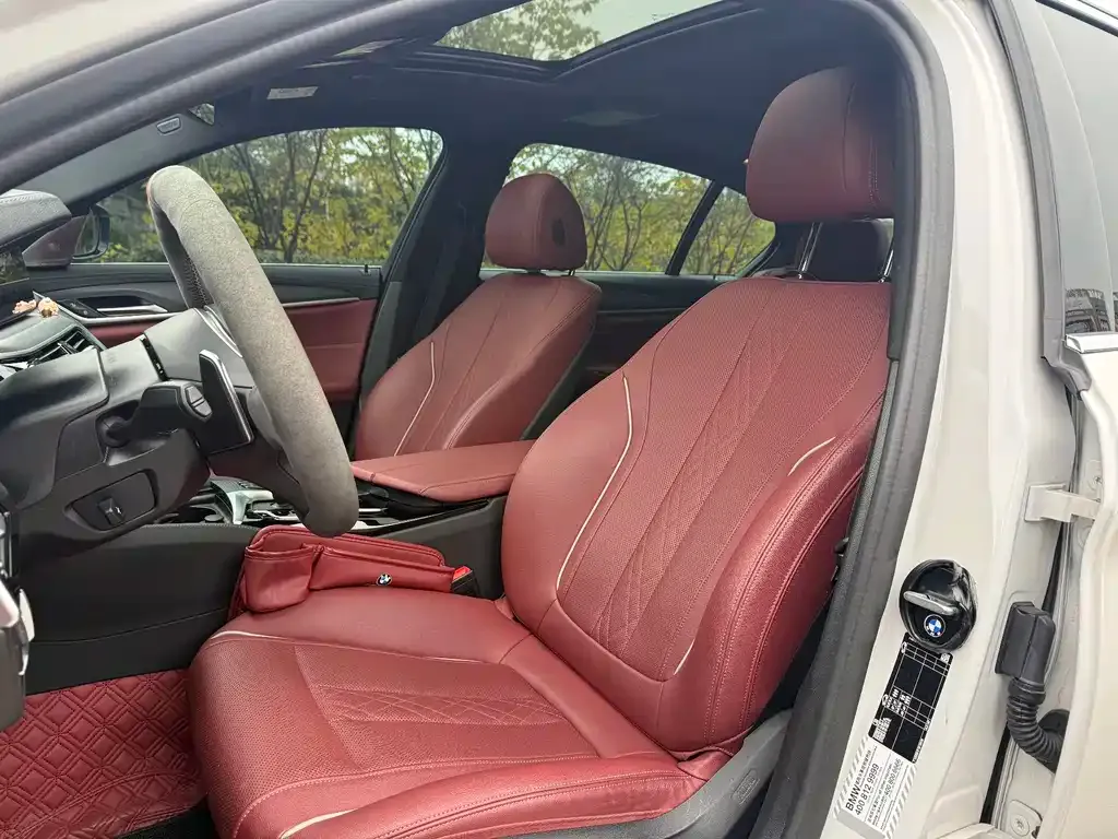 BMW 5 Series 2022 из CN, фото 3