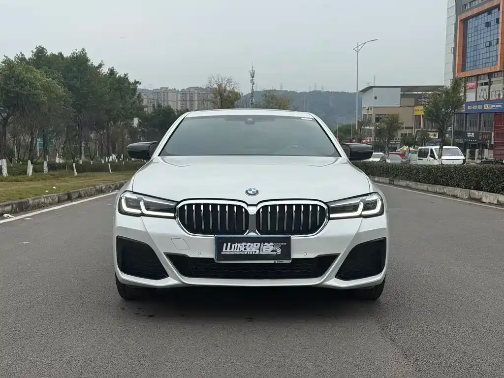 BMW 5 Series 2022 из CN, фото 6