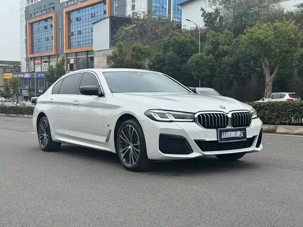 BMW 5 Series 2022 из CN, фото 10