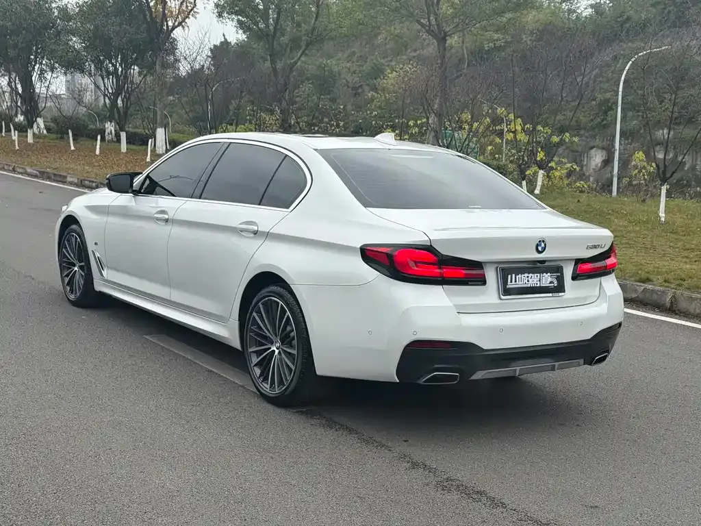 BMW 5 Series 2022 из CN, фото 7