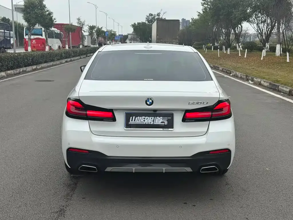 BMW 5 Series 2022 из CN, фото 5