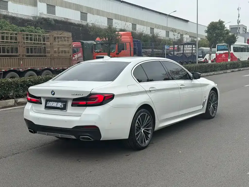 BMW 5 Series 2022 из CN, фото 9