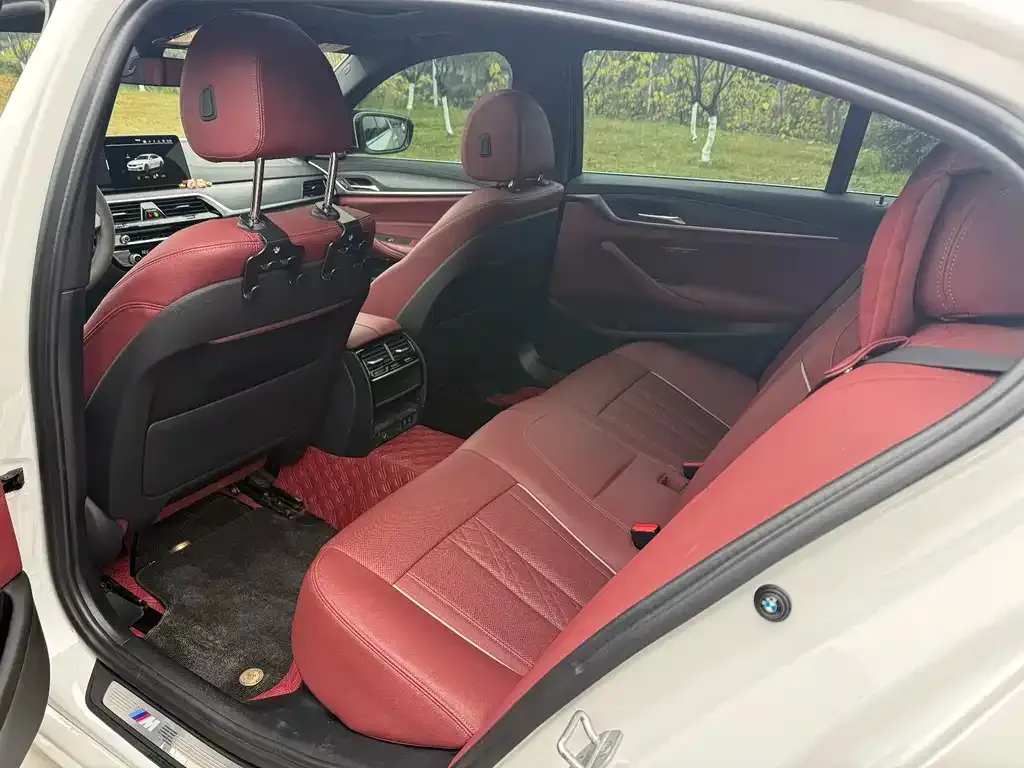 BMW 5 Series 2022 из CN, фото 4