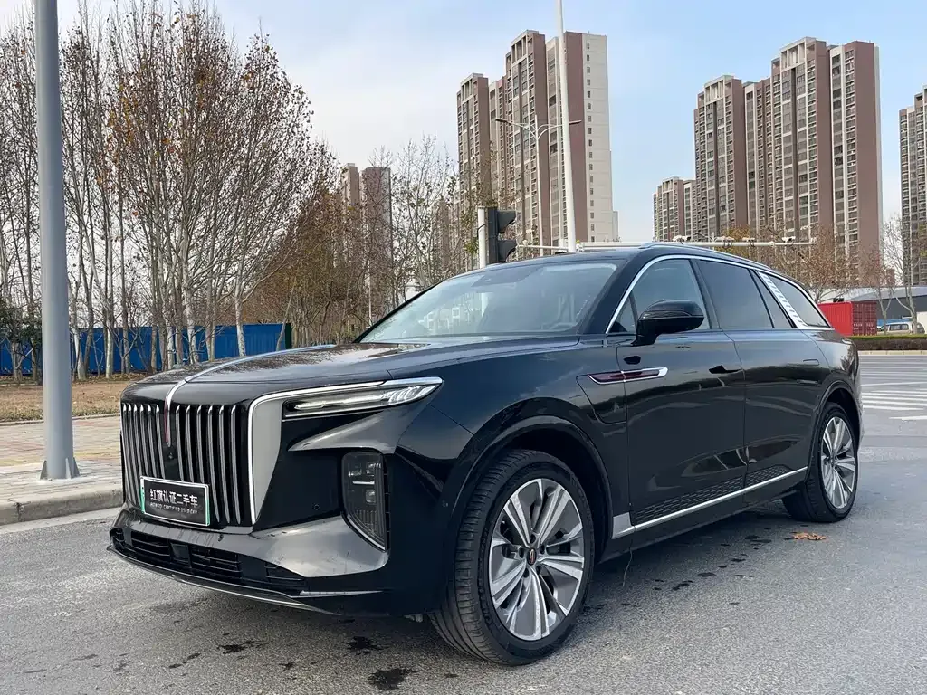 Hongqi E-HS9 2023 из CN, фото 1