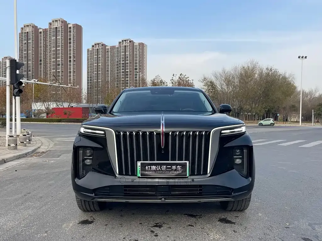 Hongqi E-HS9 2023 из CN, фото 2