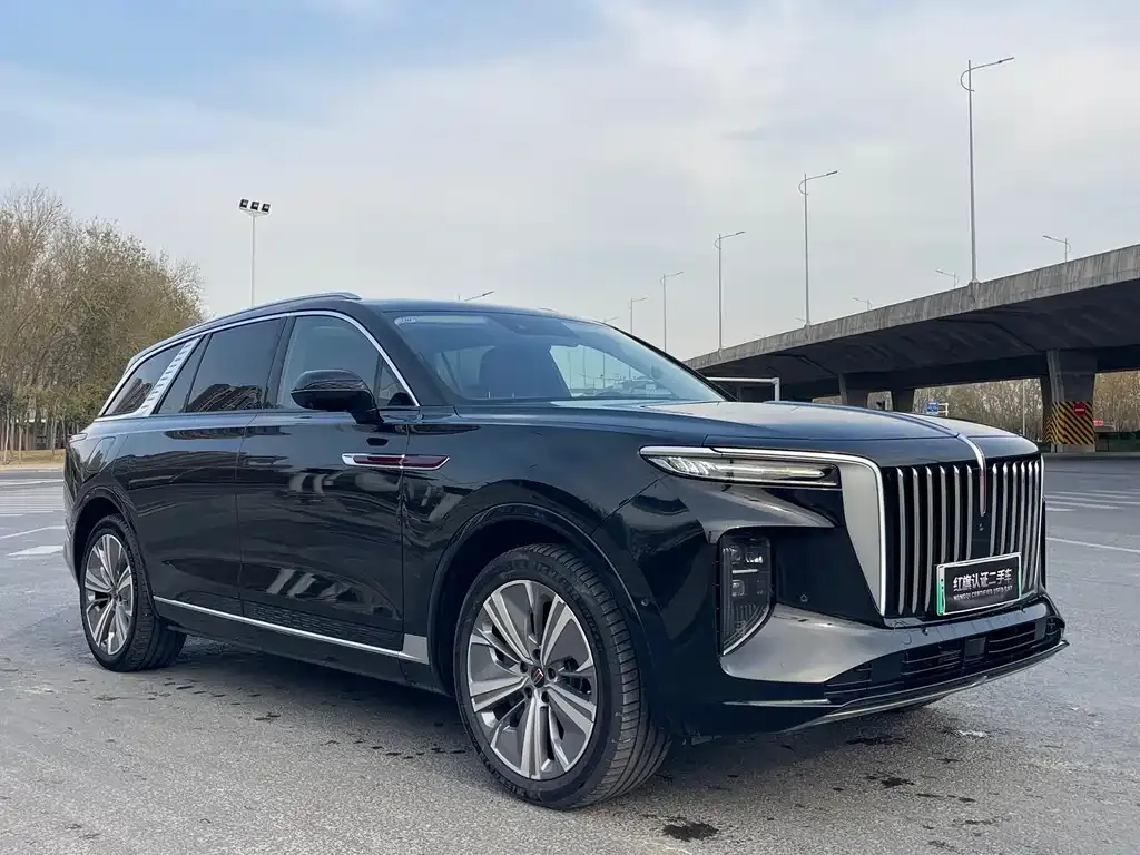 Hongqi E-HS9 2023 из CN, фото 9