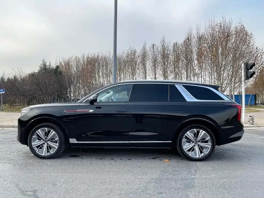 Hongqi E-HS9 2023 из CN, фото 3