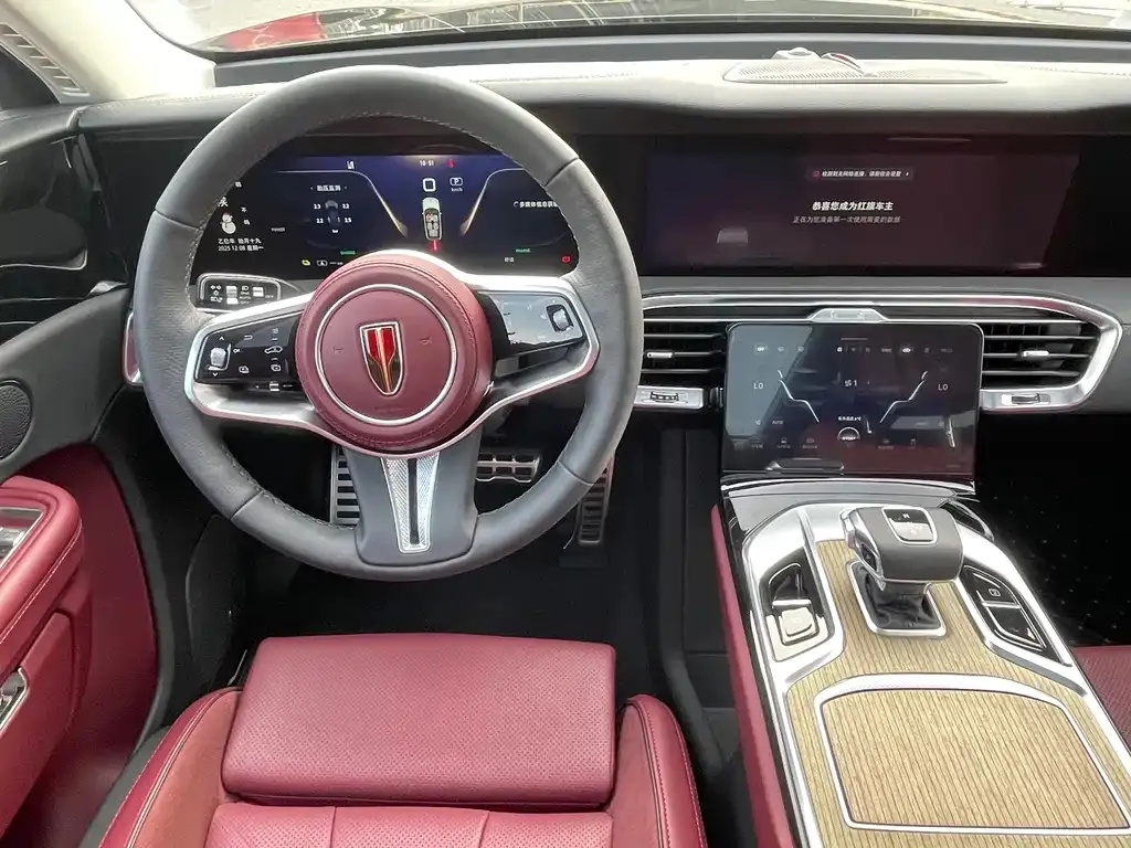 Hongqi E-HS9 2023 из CN, фото 6