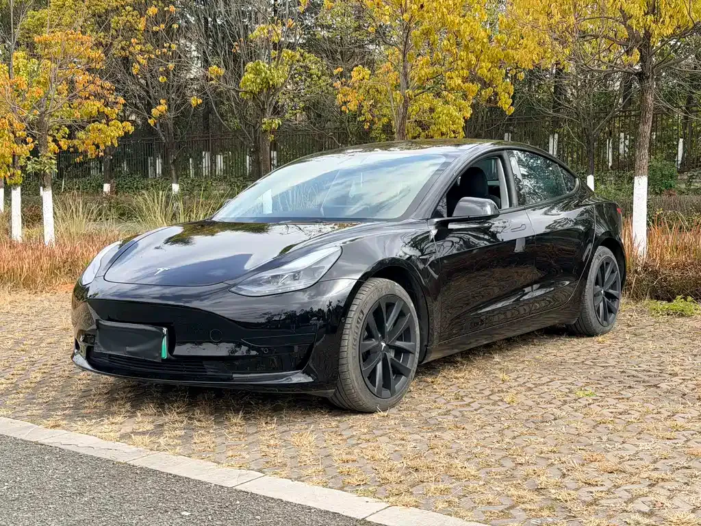 Tesla Model 3 2022 из CN, фото 1
