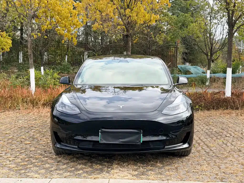 Tesla Model 3 2022 из CN, фото 2