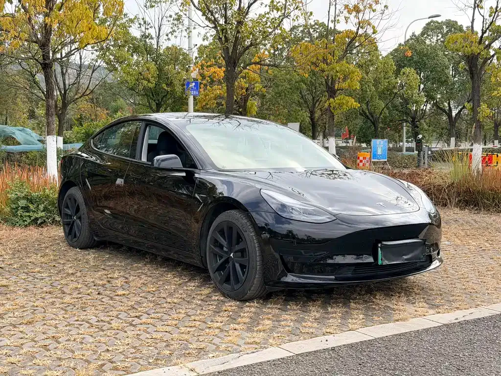 Tesla Model 3 2022 из CN, фото 3