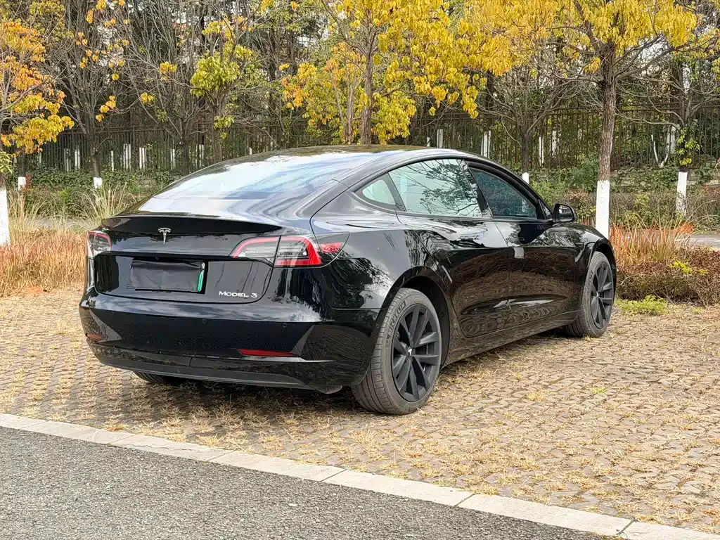 Tesla Model 3 2022 из CN, фото 5