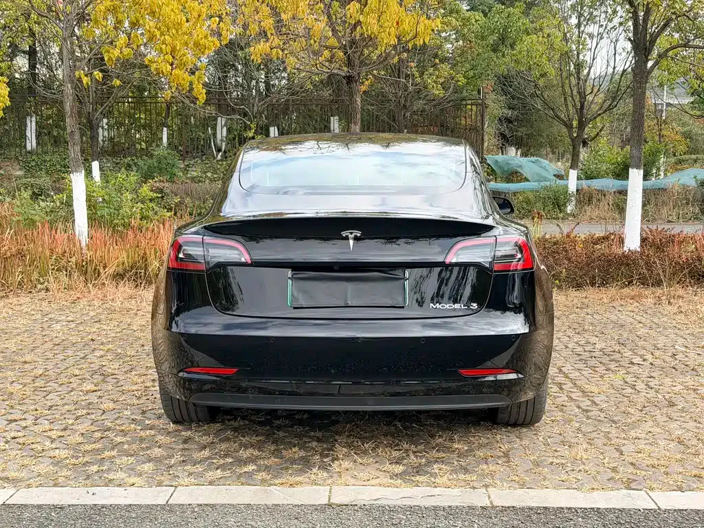 Tesla Model 3 2022 из CN, фото 6