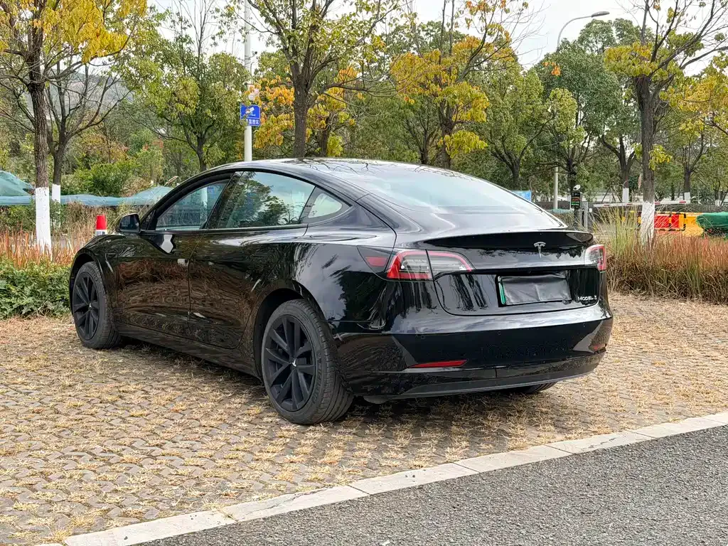 Tesla Model 3 2022 из CN, фото 7