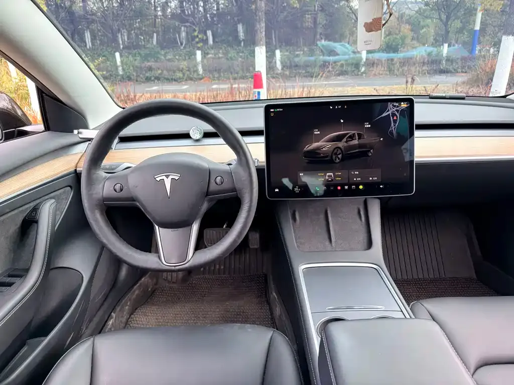 Tesla Model 3 2022 из CN, фото 8