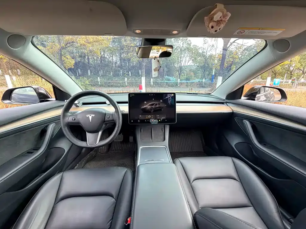Tesla Model 3 2022 из CN, фото 9
